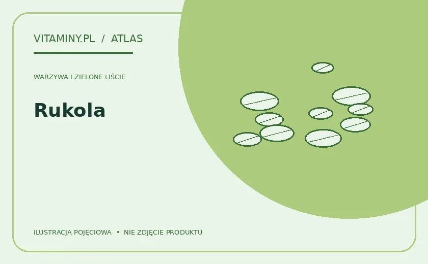 Rukola — ilustracja edukacyjna