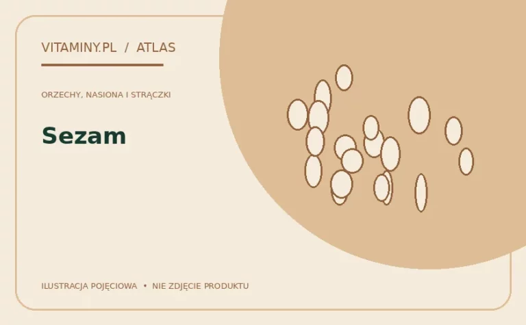 Sezam — ilustracja edukacyjna