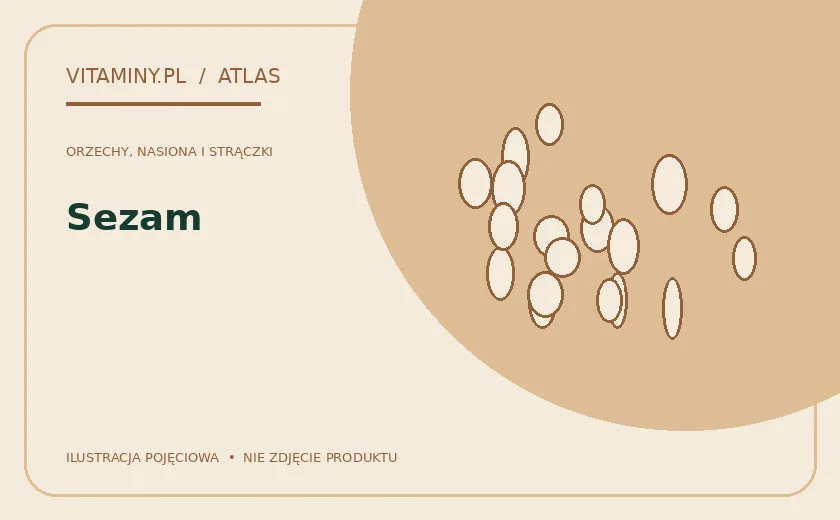 Sezam — ilustracja edukacyjna