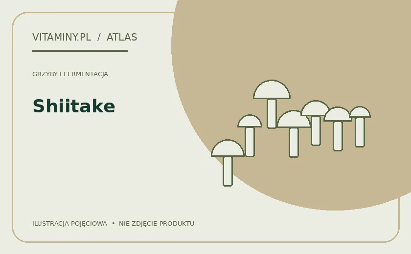 Shiitake — ilustracja edukacyjna