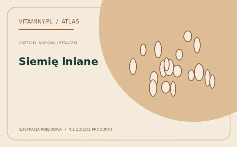 Siemię lniane — ilustracja edukacyjna