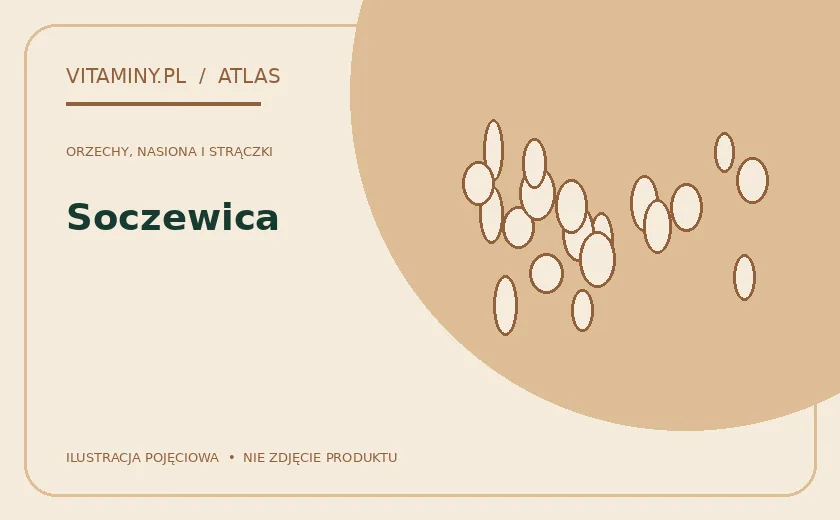 Soczewica — ilustracja edukacyjna