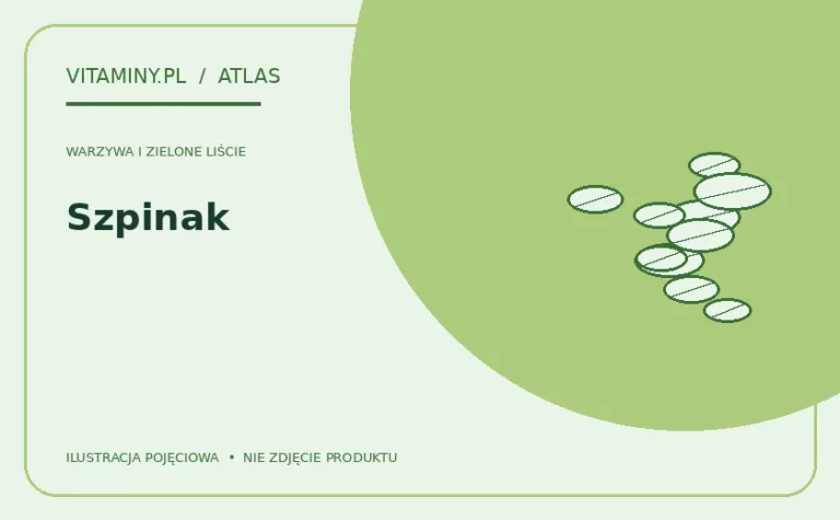 Szpinak — ilustracja edukacyjna