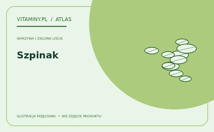 Szpinak — ilustracja edukacyjna