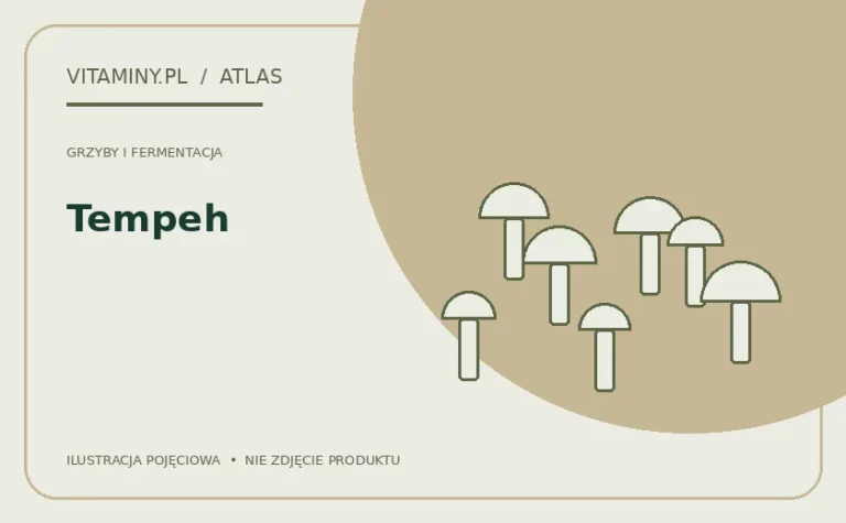 Tempeh — ilustracja edukacyjna