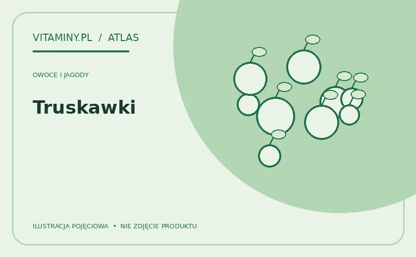 Truskawki — ilustracja edukacyjna
