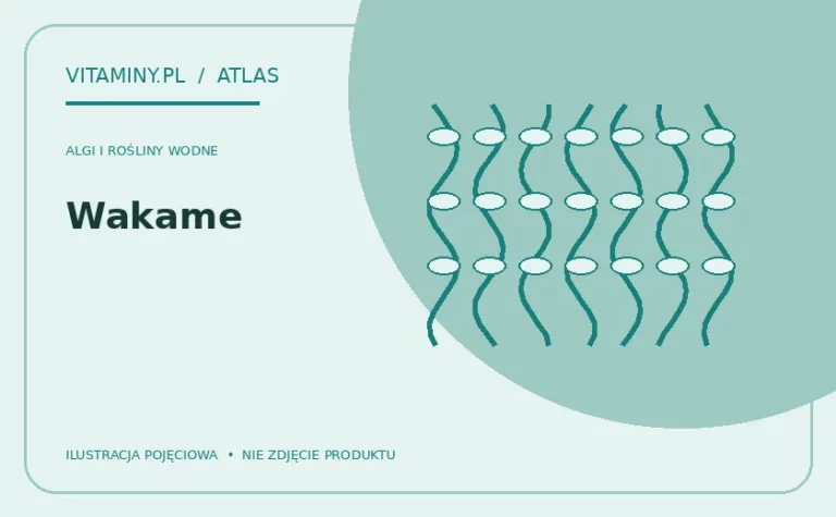 Wakame — ilustracja edukacyjna